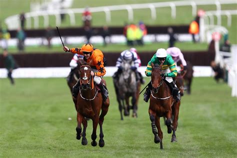 cheltenham updates today.